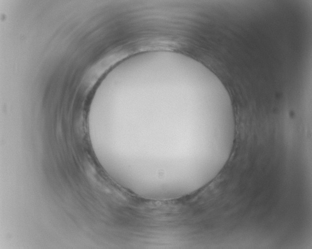 X0000051260338200507152221