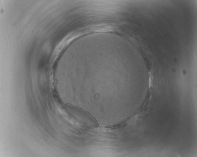 X0000051260339200507152221