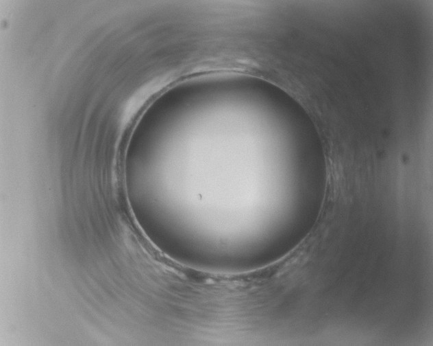 X0000051260340200507152221