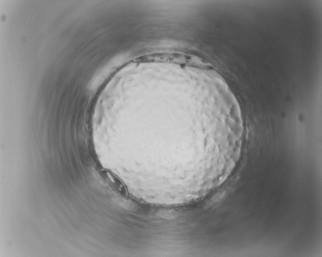 X0000051260341200507152221