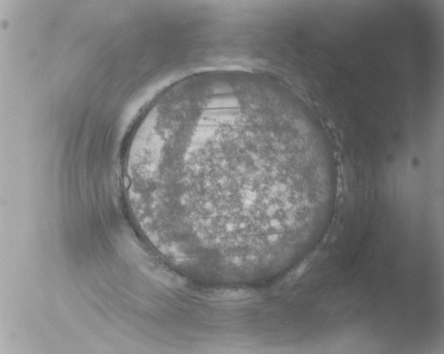 X0000051260342200507152221