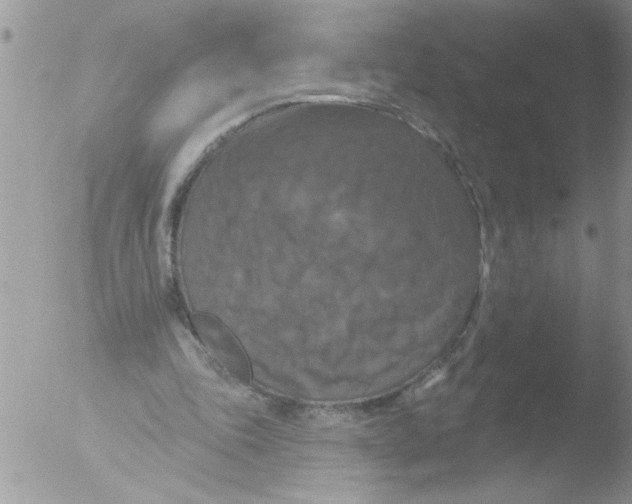 X0000051260343200507152221