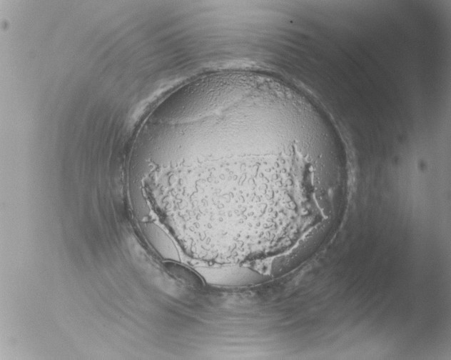 X0000051260345200507152221