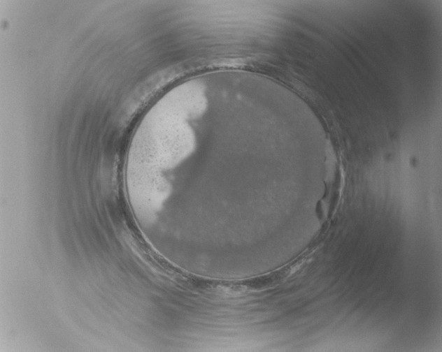 X0000051260346200507152221