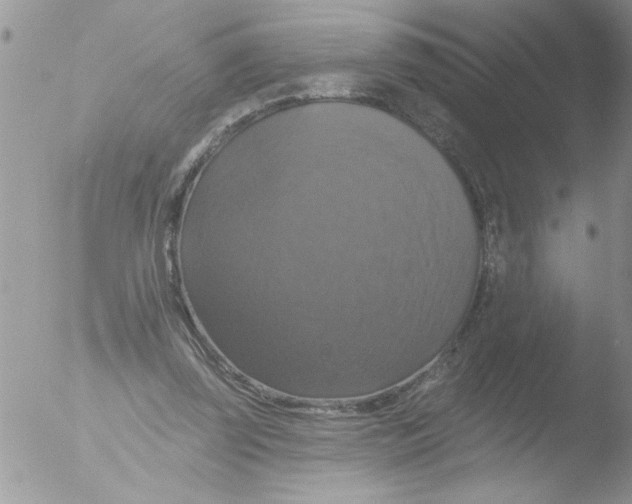 X0000051260347200507152221