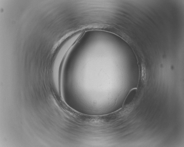 X0000051260348200507152221