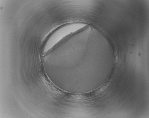 X0000051260351200507152221