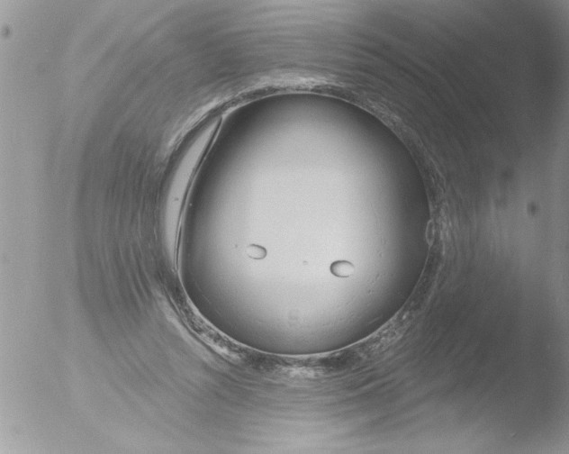 X0000051260352200507152221