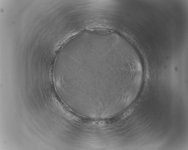 X0000051260353200507152221