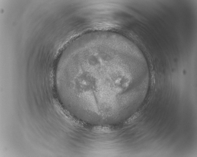 X0000051260354200507152221