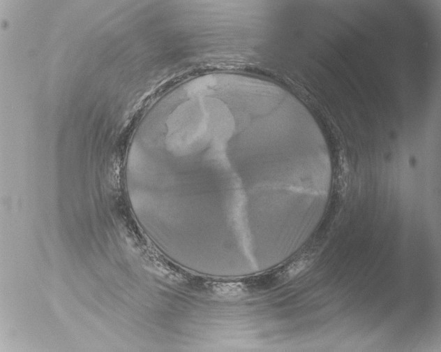 X0000051260355200507152222