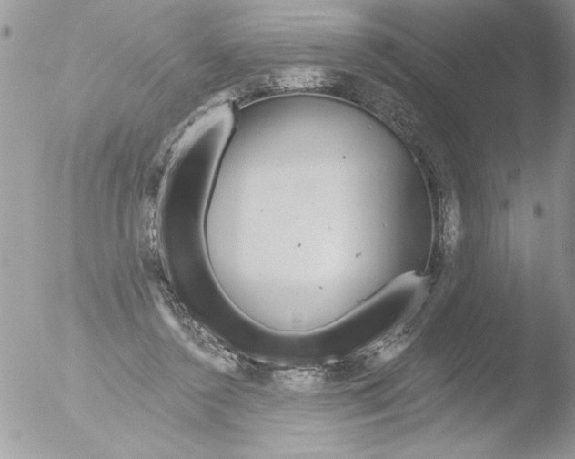 X0000051260356200507152222