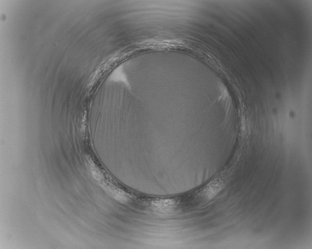 X0000051260357200507152222