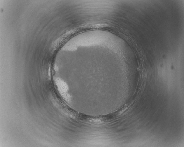 X0000051260358200507152222