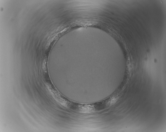 X0000051260359200507152222