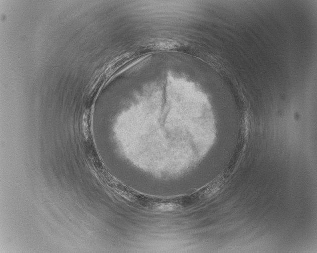 X0000051260360200507152222