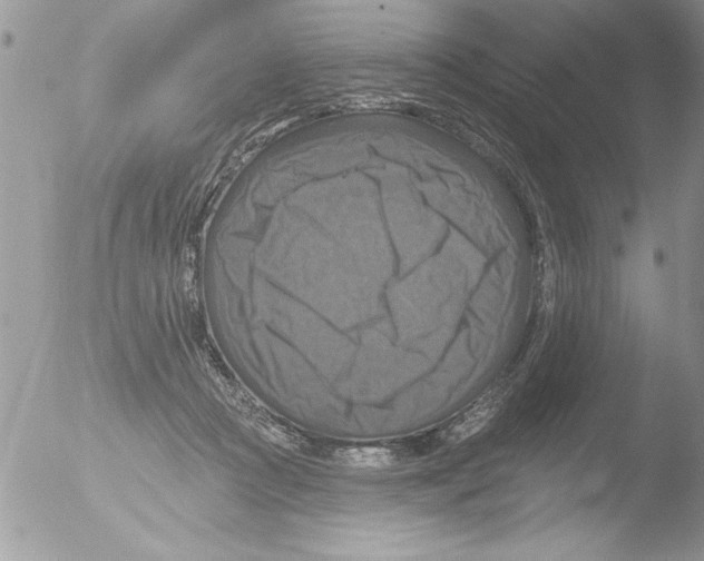 X0000051260361200507152222