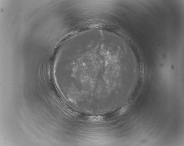 X0000051260363200507152222