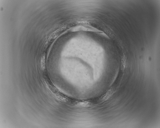 X0000051260364200507152222