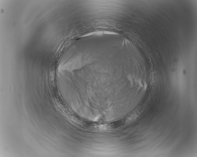 X0000051260365200507152222