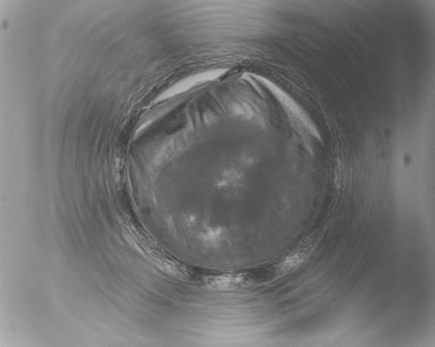 X0000051260366200507152222