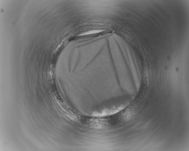 X0000051260367200507152222