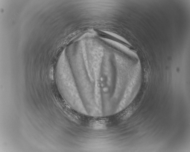 X0000051260368200507152222