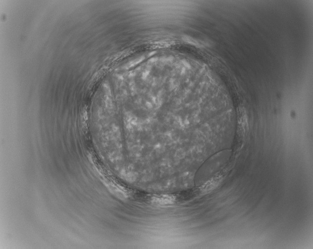 X0000051260369200507152222