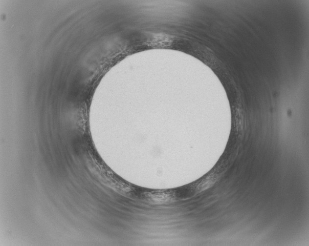 X0000051260370200507152222