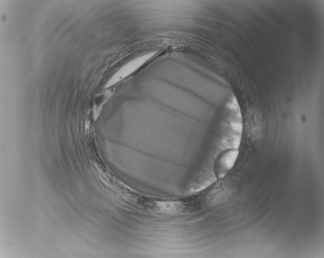 X0000051260371200507152222