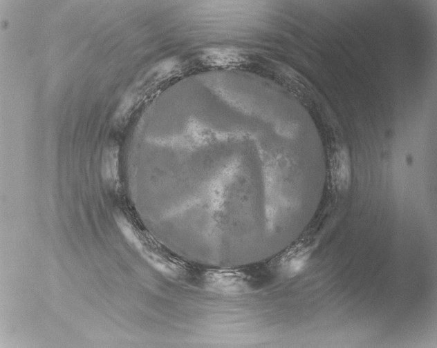 X0000051260372200507152222