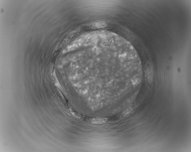 X0000051260373200507152222