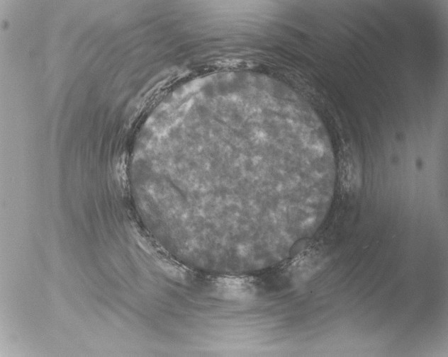 X0000051260375200507152222