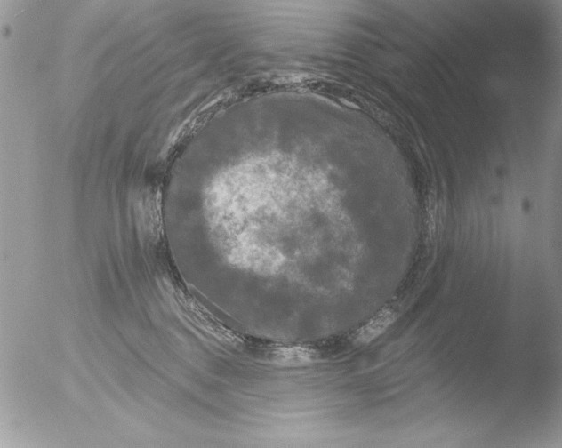 X0000051260376200507152222