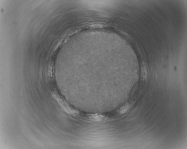 X0000051260379200507152222