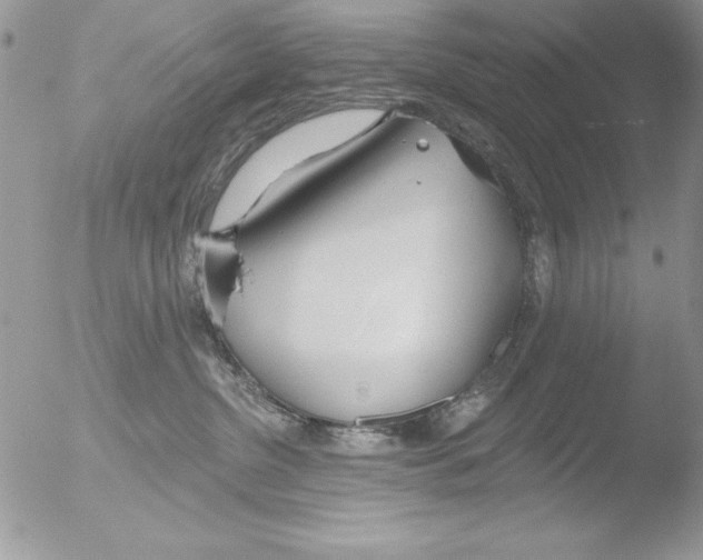 X0000051260380200507152222