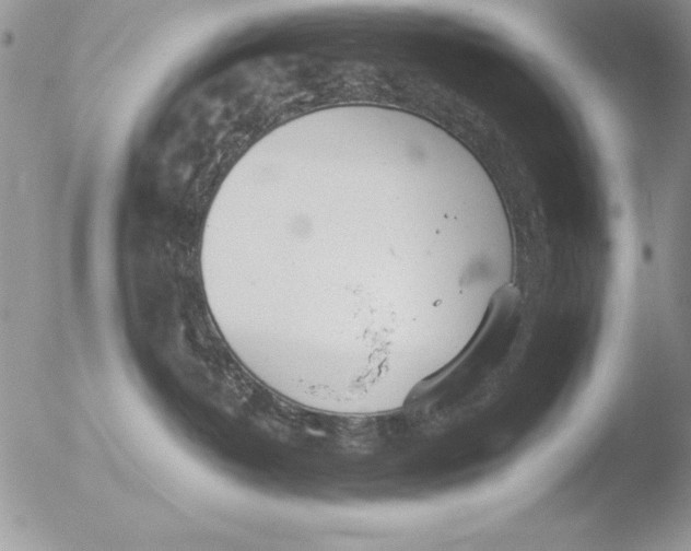 X0000051260382200507152222