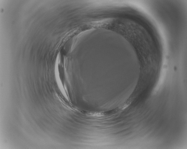 X0000051260383200507152222