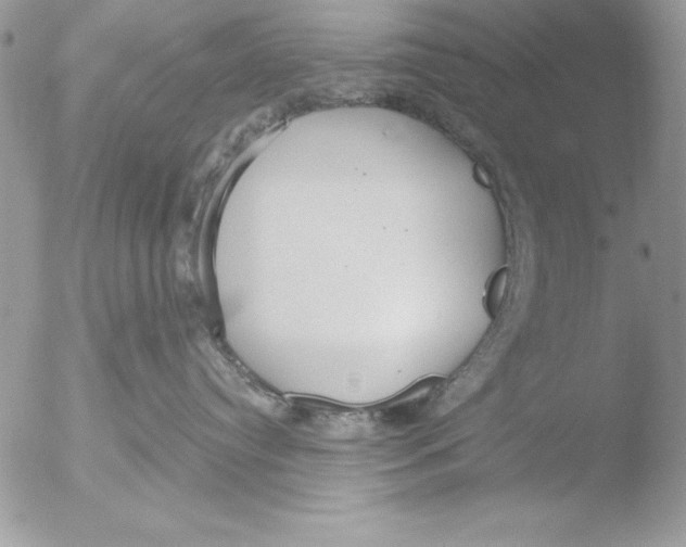 X0000051260384200507152222