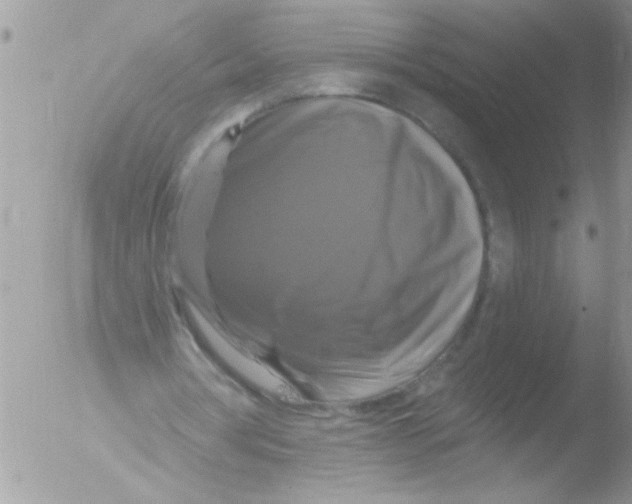 X0000051260386200507152221