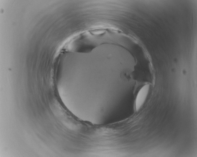 X0000051260387200507152221