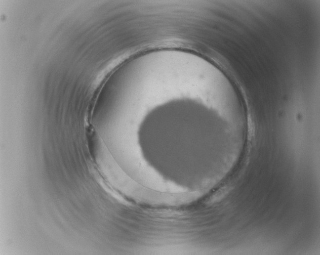 X0000051260389200507152221