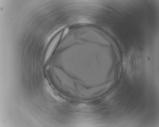 X0000051260390200507152221