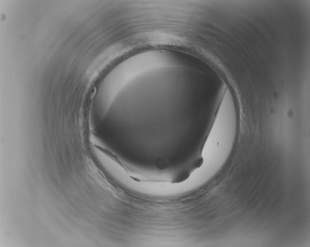 X0000051260391200507152221