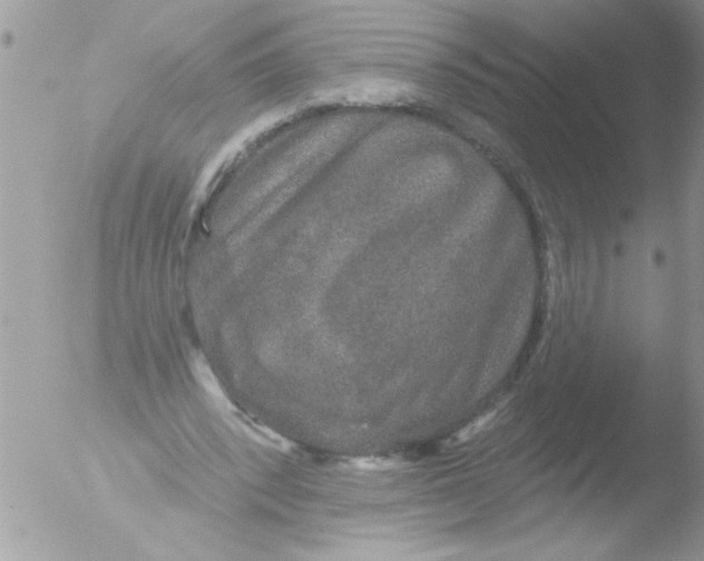 X0000051260392200507152221