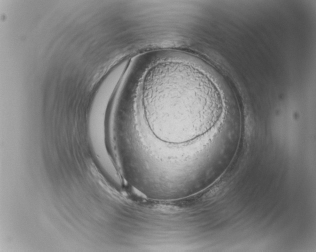 X0000051260393200507152221