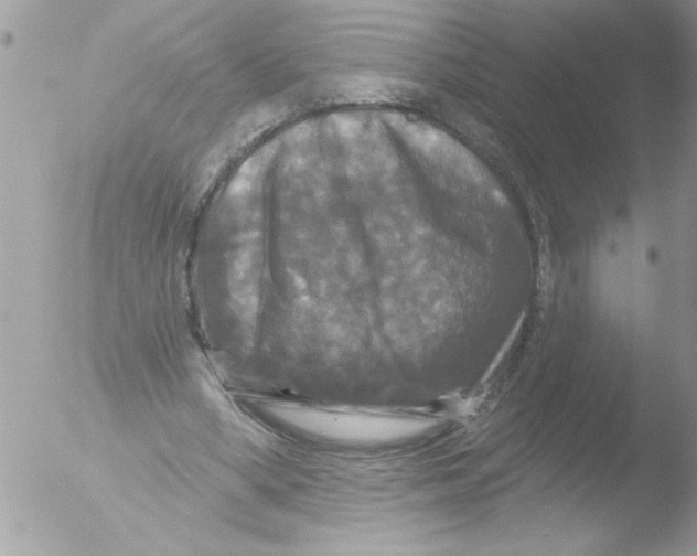 X0000051260394200507152221