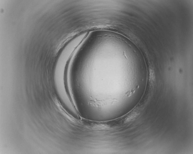 X0000051260397200507152221