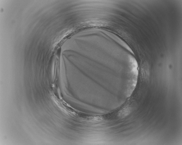 X0000051260398200507152221