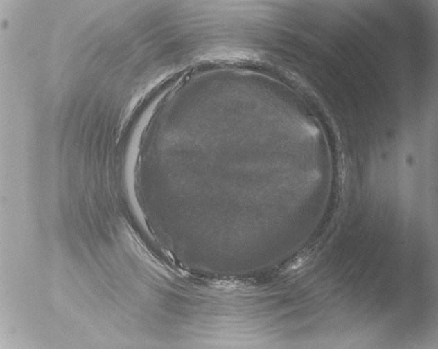 X0000051260399200507152221